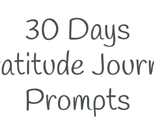 Gratitude Journal Cover
